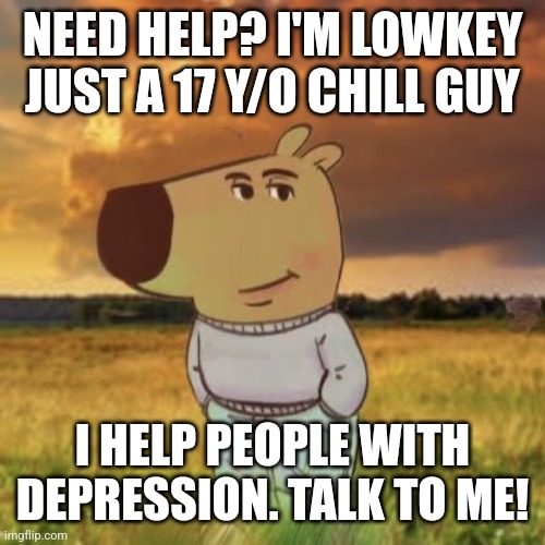 Need help? | NEED HELP? I'M LOWKEY JUST A 17 Y/O CHILL GUY; I HELP PEOPLE WITH DEPRESSION. TALK TO ME! | image tagged in chill guy,help,talking | made w/ Imgflip meme maker