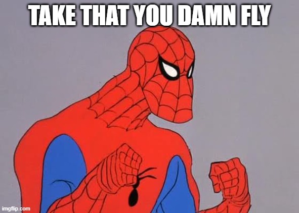 60's Spiderman Come at Me Bro | TAKE THAT YOU DAMN FLY | image tagged in 60's spiderman come at me bro | made w/ Imgflip meme maker