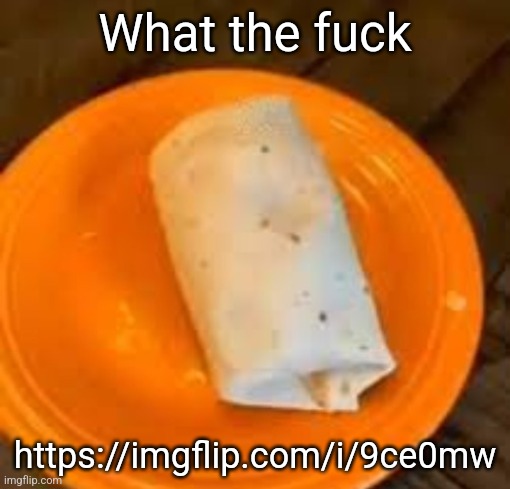 JimmyHere Burrito | What the fuck; https://imgflip.com/i/9ce0mw | image tagged in jimmyhere burrito | made w/ Imgflip meme maker