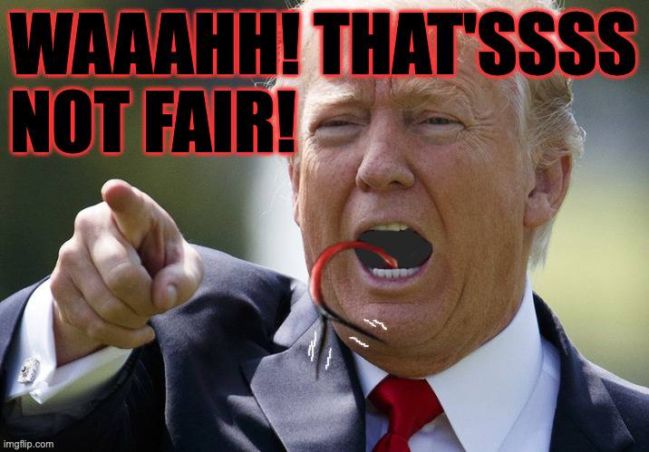 WAAAHH! THAT'SSSS
NOT FAIR! | made w/ Imgflip meme maker