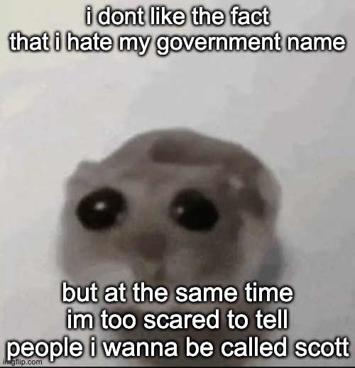 stupid fucking brain | i dont like the fact that i hate my government name; but at the same time im too scared to tell people i wanna be called scott | image tagged in sad hampster | made w/ Imgflip meme maker