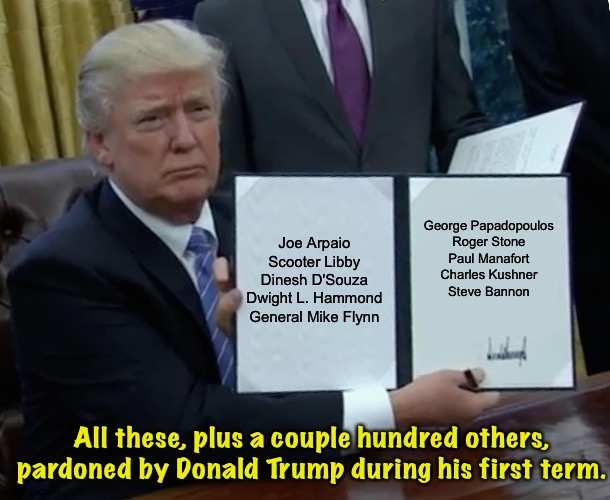 For those still whining about Hunter's pardon | Joe Arpaio
Scooter Libby
Dinesh D'Souza

Dwight L. Hammond
General Mike Flynn; George Papadopoulos

Roger Stone
Paul Manafort
Charles Kushner
Steve Bannon; All these, plus a couple hundred others, pardoned by Donald Trump during his first term. | image tagged in memes,trump bill signing | made w/ Imgflip meme maker