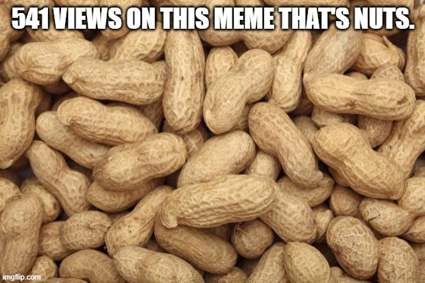 Deez Nuts | 541 VIEWS ON THIS MEME THAT'S NUTS. | image tagged in deez nuts | made w/ Imgflip meme maker