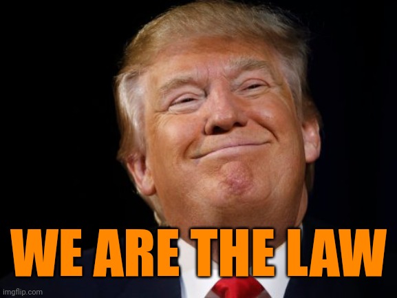 WE ARE THE LAW | image tagged in smug trump | made w/ Imgflip meme maker