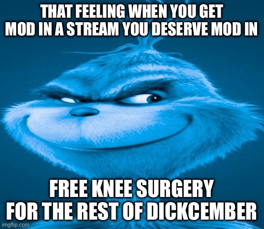 Blue Grinch | THAT FEELING WHEN YOU GET MOD IN A STREAM YOU DESERVE MOD IN; FREE KNEE SURGERY FOR THE REST OF DICKCEMBER | image tagged in blue grinch | made w/ Imgflip meme maker