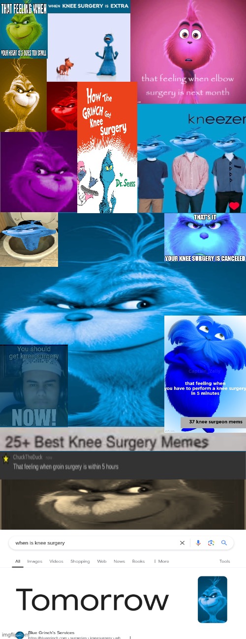 Blue Grinch | image tagged in blue grinch | made w/ Imgflip meme maker