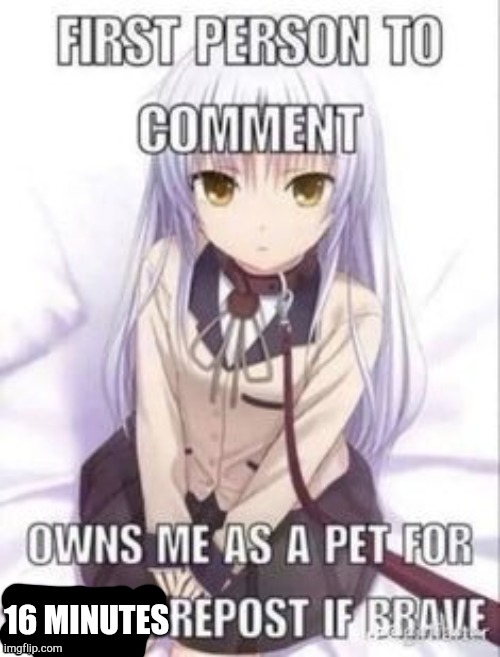 first person to comment owns as a pet for a week | 16 MINUTES | image tagged in first person to comment owns as a pet for a week | made w/ Imgflip meme maker