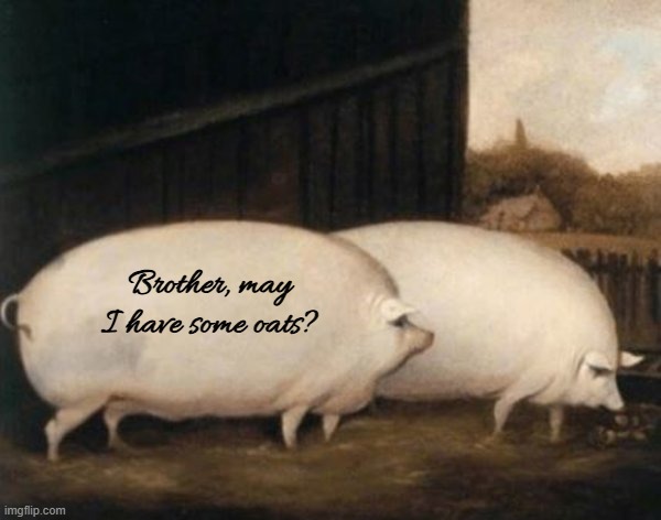 Continue the story in comments | Brother, may I have some oats? | image tagged in brother,may,i,have,some,oats | made w/ Imgflip meme maker