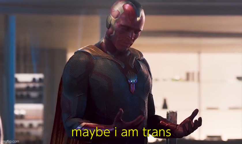 Maybe I am a trans person | maybe i am trans | image tagged in maybe i am a monster | made w/ Imgflip meme maker