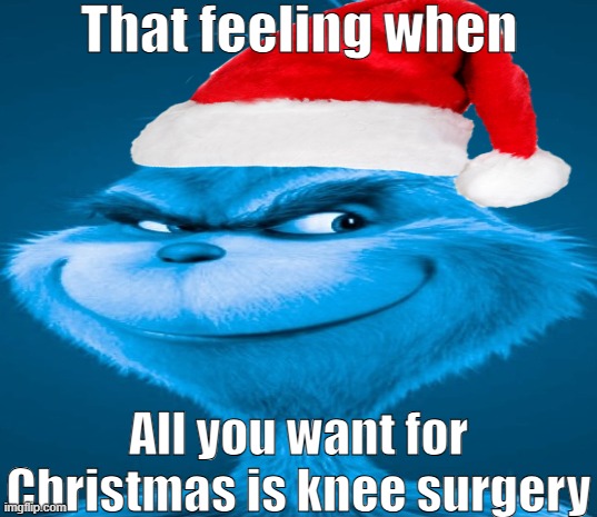 Blue Grinch | That feeling when; All you want for Christmas is knee surgery | image tagged in blue grinch | made w/ Imgflip meme maker