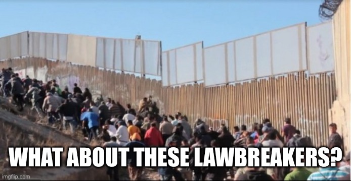 WHAT ABOUT THESE LAWBREAKERS? | image tagged in illegal immigrants | made w/ Imgflip meme maker