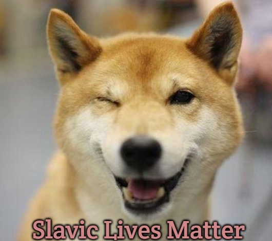 wink doge | Slavic Lives Matter | image tagged in wink doge,slavic | made w/ Imgflip meme maker