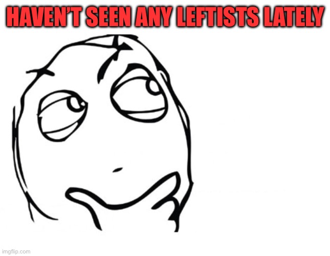 HAVEN’T SEEN ANY LEFTISTS LATELY | image tagged in hmmm | made w/ Imgflip meme maker