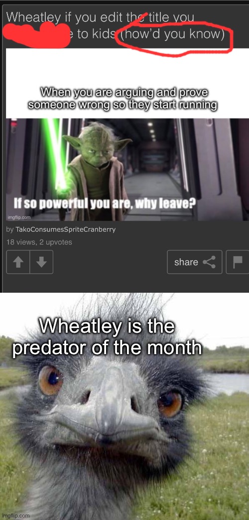 Wheatley is the predator of the month | image tagged in cold stare of ostrich | made w/ Imgflip meme maker