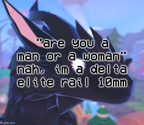 i stared into the void and it stared back | "are you a man or a woman"
nah, im a delta elite rail 10mm | image tagged in i stared into the void and it stared back | made w/ Imgflip meme maker