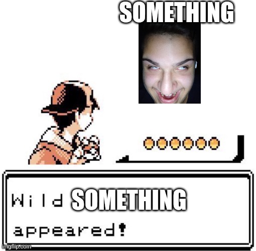 Not me, it's a random guy from TikTok | SOMETHING; SOMETHING | image tagged in blank wild pokemon appears,funny,pokemon,funny memes,why are you reading this,cmon do something | made w/ Imgflip meme maker