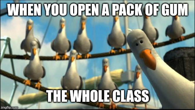 Bro | WHEN YOU OPEN A PACK OF GUM; THE WHOLE CLASS | image tagged in nemo seagulls mine | made w/ Imgflip meme maker