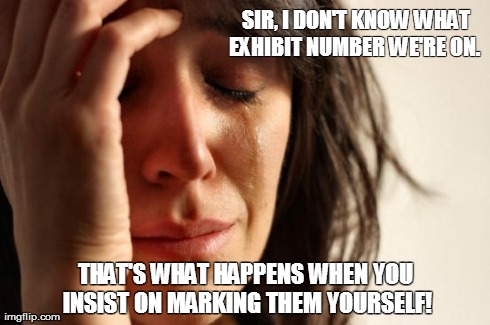 First World Problems Meme | SIR, I DON'T KNOW WHAT EXHIBIT NUMBER WE'RE ON.   THAT'S WHAT HAPPENS WHEN YOU INSIST ON MARKING THEM YOURSELF! | image tagged in memes,first world problems | made w/ Imgflip meme maker