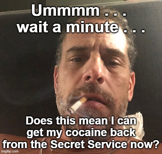 Hunter Biden | Ummmm . . . 
wait a minute . . . Does this mean I can get my cocaine back from the Secret Service now? | image tagged in hunter biden | made w/ Imgflip meme maker