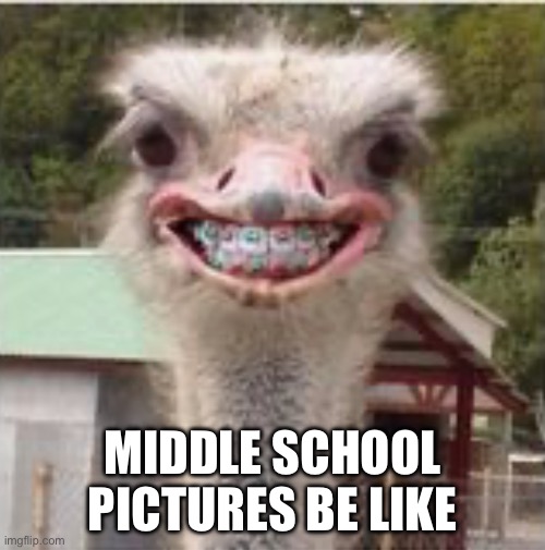 So true | MIDDLE SCHOOL PICTURES BE LIKE | image tagged in fun | made w/ Imgflip meme maker