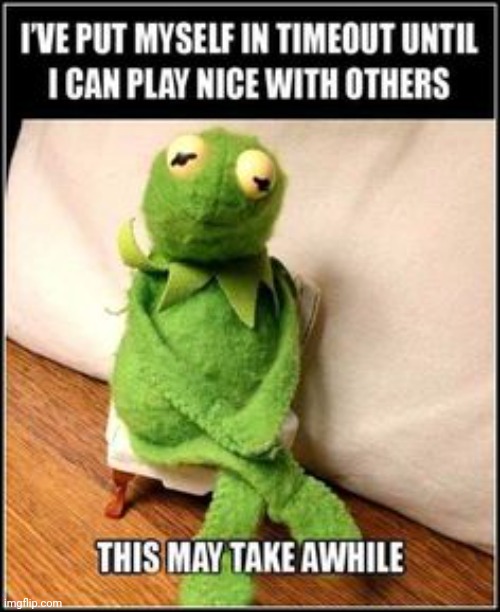 This may take a while. | image tagged in this may take a while,time,out,punishment,kermit the frog,rules | made w/ Imgflip meme maker