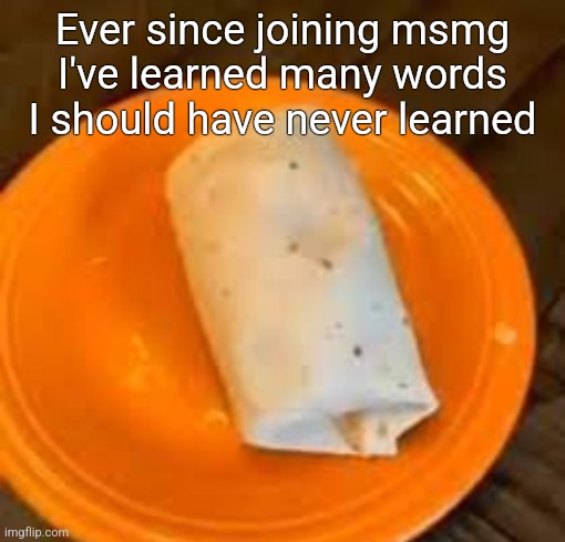 JimmyHere Burrito | Ever since joining msmg I've learned many words I should have never learned | image tagged in jimmyhere burrito | made w/ Imgflip meme maker