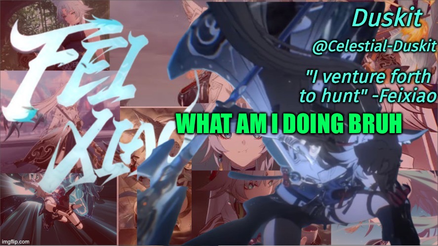 Why am I still on imgflip it’s been years | WHAT AM I DOING BRUH | image tagged in duskit's feixiao template | made w/ Imgflip meme maker