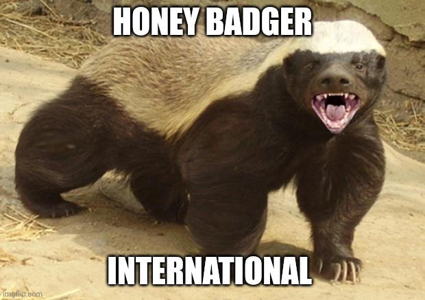 Honey badger | HONEY BADGER; INTERNATIONAL | image tagged in honey badger | made w/ Imgflip meme maker