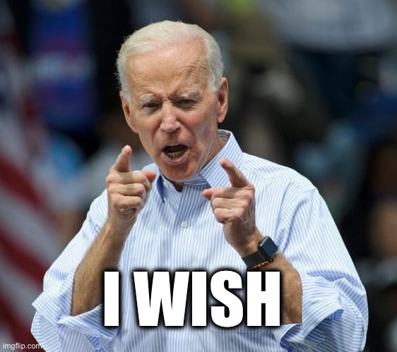 Joe pointer | I WISH | image tagged in joe pointer | made w/ Imgflip meme maker