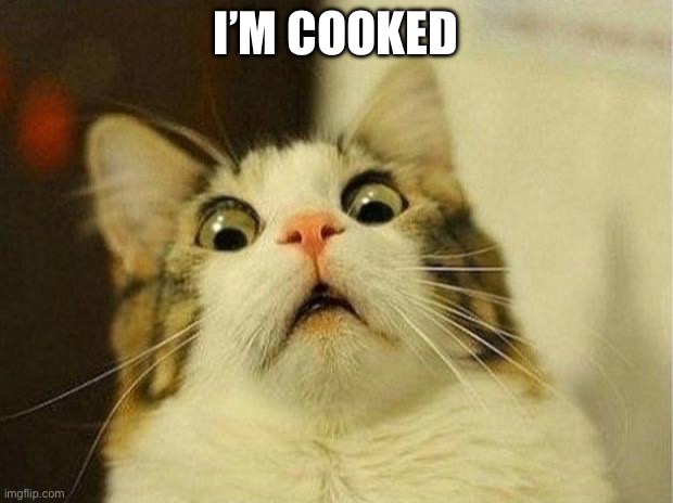 Me when my mom finds my report card | I’M COOKED | image tagged in memes,scared cat,gg | made w/ Imgflip meme maker