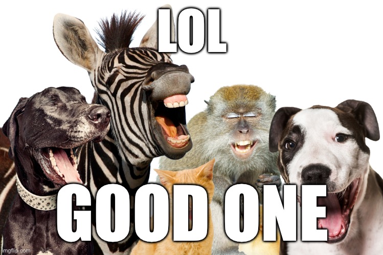 Laughing Animals | LOL GOOD ONE | image tagged in laughing animals | made w/ Imgflip meme maker