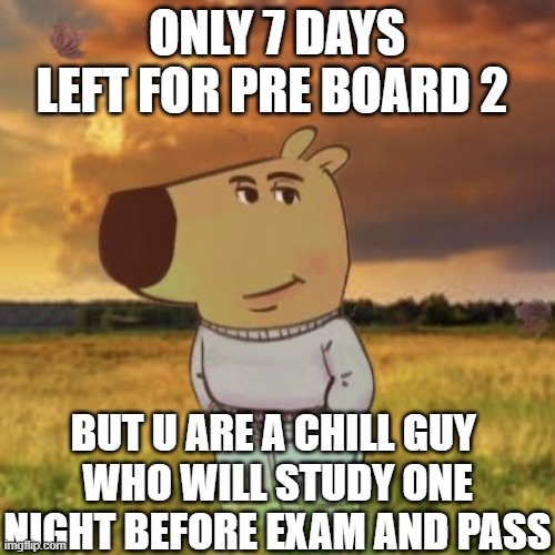 Chill guy | ONLY 7 DAYS LEFT FOR PRE BOARD 2; BUT U ARE A CHILL GUY 
WHO WILL STUDY ONE NIGHT BEFORE EXAM AND PASS | image tagged in chill guy | made w/ Imgflip meme maker