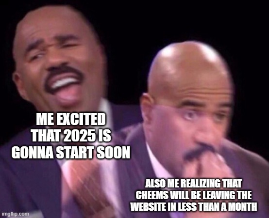 Steve Harvey Laughing Serious | ME EXCITED THAT 2025 IS GONNA START SOON; ALSO ME REALIZING THAT CHEEMS WILL BE LEAVING THE WEBSITE IN LESS THAN A MONTH | image tagged in steve harvey laughing serious,justacheemsdoge,2025 | made w/ Imgflip meme maker