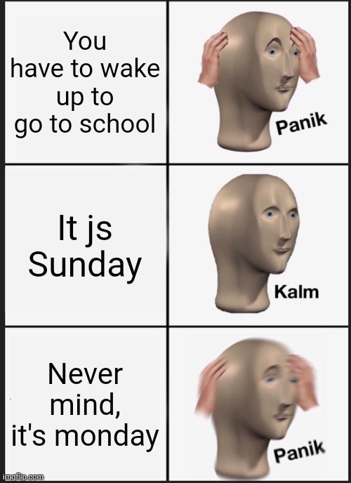 It is another day... | You have to wake up to go to school; It js Sunday; Never mind, it's monday | image tagged in memes,panik kalm panik,wake up,bro | made w/ Imgflip meme maker