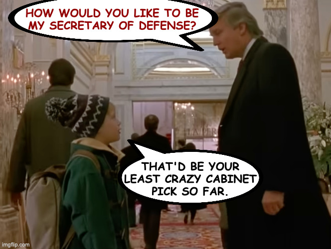 Funny 'cause it's true. | HOW WOULD YOU LIKE TO BE
MY SECRETARY OF DEFENSE? THAT'D BE YOUR
LEAST CRAZY CABINET
PICK SO FAR. | image tagged in memes,home alone 2,crazy trump | made w/ Imgflip meme maker