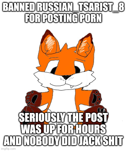 like bruh some of you mods are just irresponsible | BANNED RUSSIAN_TSARIST_8 FOR POSTING PORN; SERIOUSLY THE POST WAS UP FOR HOURS AND NOBODY DID JACK SHIT | image tagged in cyrus marketable plushie | made w/ Imgflip meme maker