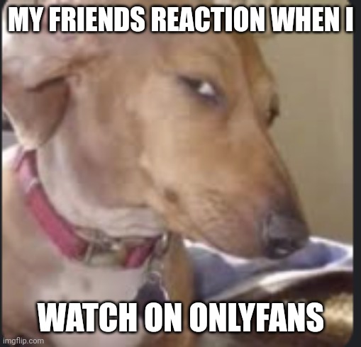 Sus | MY FRIENDS REACTION WHEN I; WATCH ON ONLYFANS | image tagged in bombastic side eye,onlyfans,sus,sussy baka | made w/ Imgflip meme maker