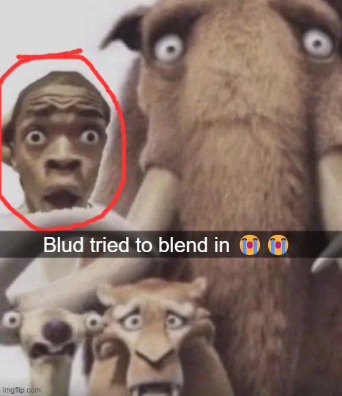 New temp | image tagged in blud tried to blend in | made w/ Imgflip meme maker