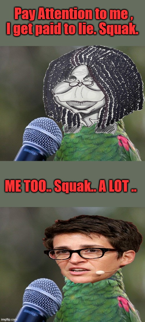 Pay Attention to me , I get paid to lie. Squak. ME TOO.. Squak.. A LOT .. | made w/ Imgflip meme maker