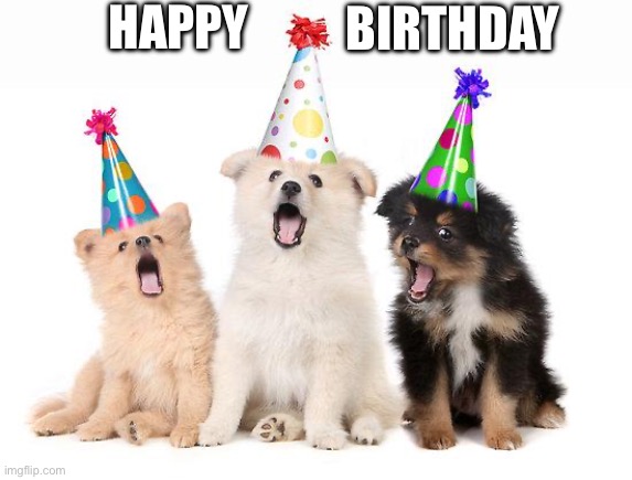 happy birthday puppies | HAPPY BIRTHDAY | image tagged in happy birthday puppies | made w/ Imgflip meme maker