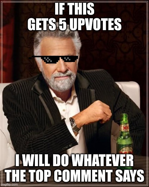 what should I do? | IF THIS GETS 5 UPVOTES; I WILL DO WHATEVER THE TOP COMMENT SAYS | image tagged in memes,the most interesting man in the world | made w/ Imgflip meme maker