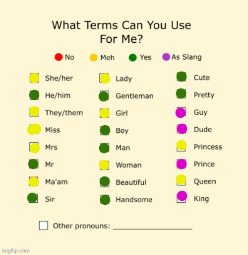 Call me whatever you want | image tagged in pronouns sheet,pansexual | made w/ Imgflip meme maker