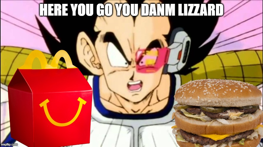 Vegeta  | HERE YOU GO YOU DANM LIZZARD | image tagged in vegeta | made w/ Imgflip meme maker