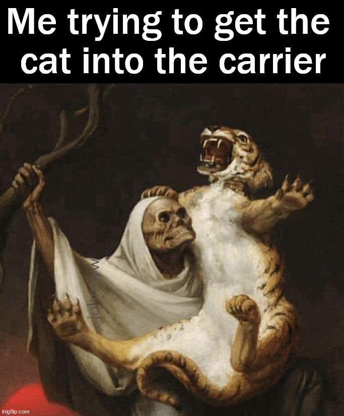 Does not like the pet carrier | Me trying to get the 
cat into the carrier | image tagged in cats | made w/ Imgflip meme maker