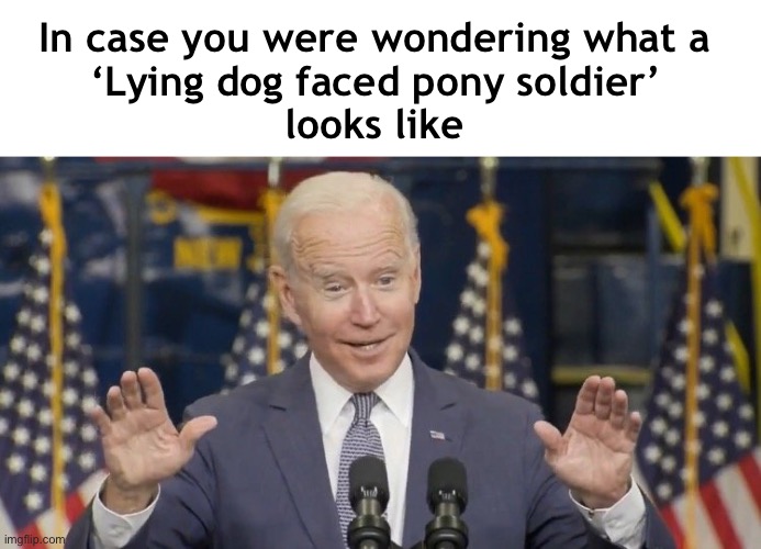 No joke! | In case you were wondering what a 
‘Lying dog faced pony soldier’ 
looks like | image tagged in cocky joe biden | made w/ Imgflip meme maker