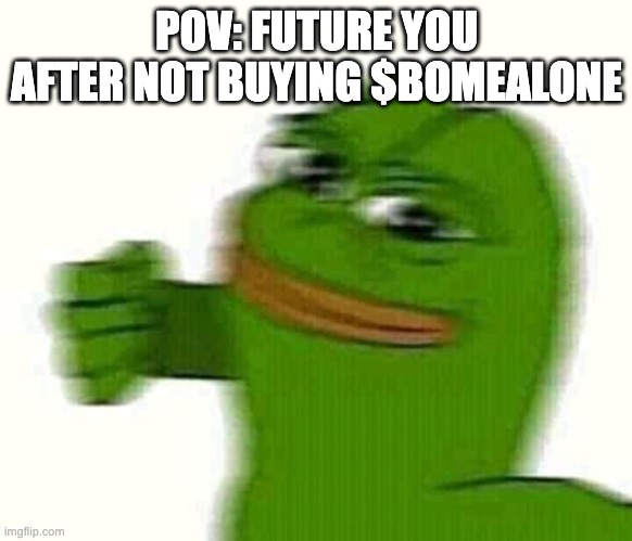 efe | POV: FUTURE YOU AFTER NOT BUYING $BOMEALONE | image tagged in pepe the frog punching | made w/ Imgflip meme maker