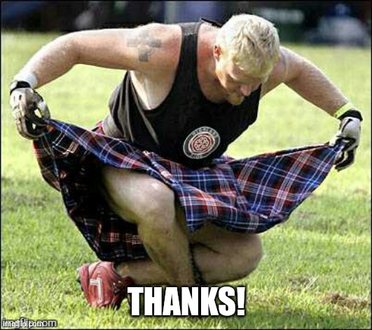 Bow | THANKS! | image tagged in bow | made w/ Imgflip meme maker