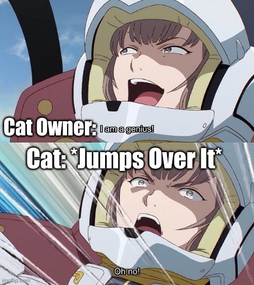 I am a genius! Oh no! | Cat Owner: Cat: *Jumps Over It* | image tagged in i am a genius oh no | made w/ Imgflip meme maker