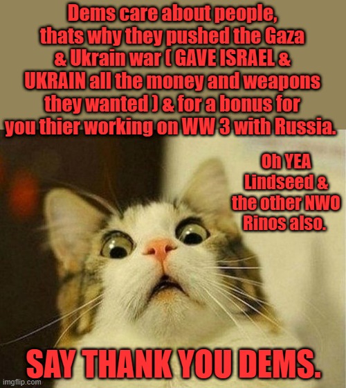 DEMS LOVE YOU, thats why thier destroying your cities and country | Dems care about people, thats why they pushed the Gaza & Ukrain war ( GAVE ISRAEL & UKRAIN all the money and weapons they wanted ) & for a bonus for you thier working on WW 3 with Russia. Oh YEA Lindseed & the other NWO Rinos also. SAY THANK YOU DEMS. | image tagged in memes,scared cat | made w/ Imgflip meme maker