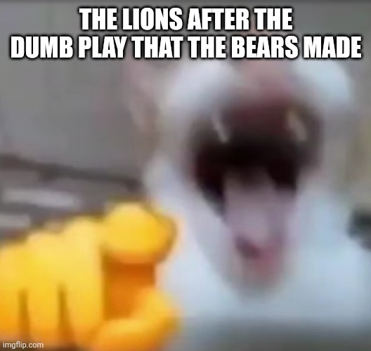 The Lions vs Bears | THE LIONS AFTER THE DUMB PLAY THAT THE BEARS MADE | image tagged in cat pointing and laughing | made w/ Imgflip meme maker